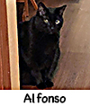 Alfonso