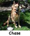 Chase