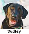 Dudley