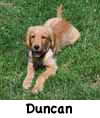 DuncanW