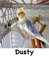 Dusty