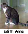 EdithAnne