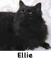 Ellie