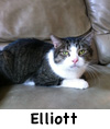 Elliot