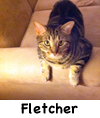 Fletcher