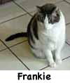 Frankie