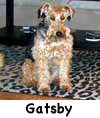 Gatsby