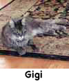 Gigi