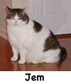 Jem