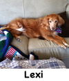 Lexi