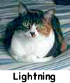 Lightning