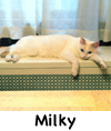 Milky