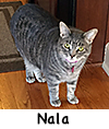 Nala