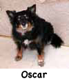 Oscar