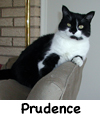 Prudence