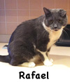 Rafael