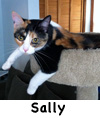 Sally