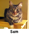 Sam