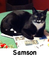 Samson