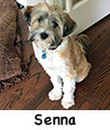 Senna