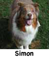Simon