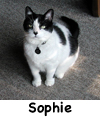 Sophie
