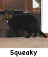 Squeaky
